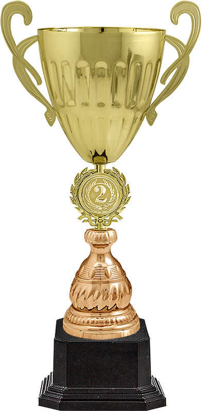 Кубок Дейла 2 место