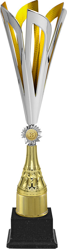 Кубок Эмма 3 место