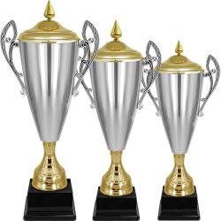 Кубок Владияр Кубок Владияр