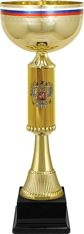 Кубок Артек