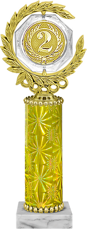 Награда 2 место