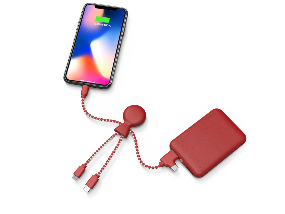 Портативное зарядное устройство BioPack c кабелем Mr. Bio, 5000 mAh, красный