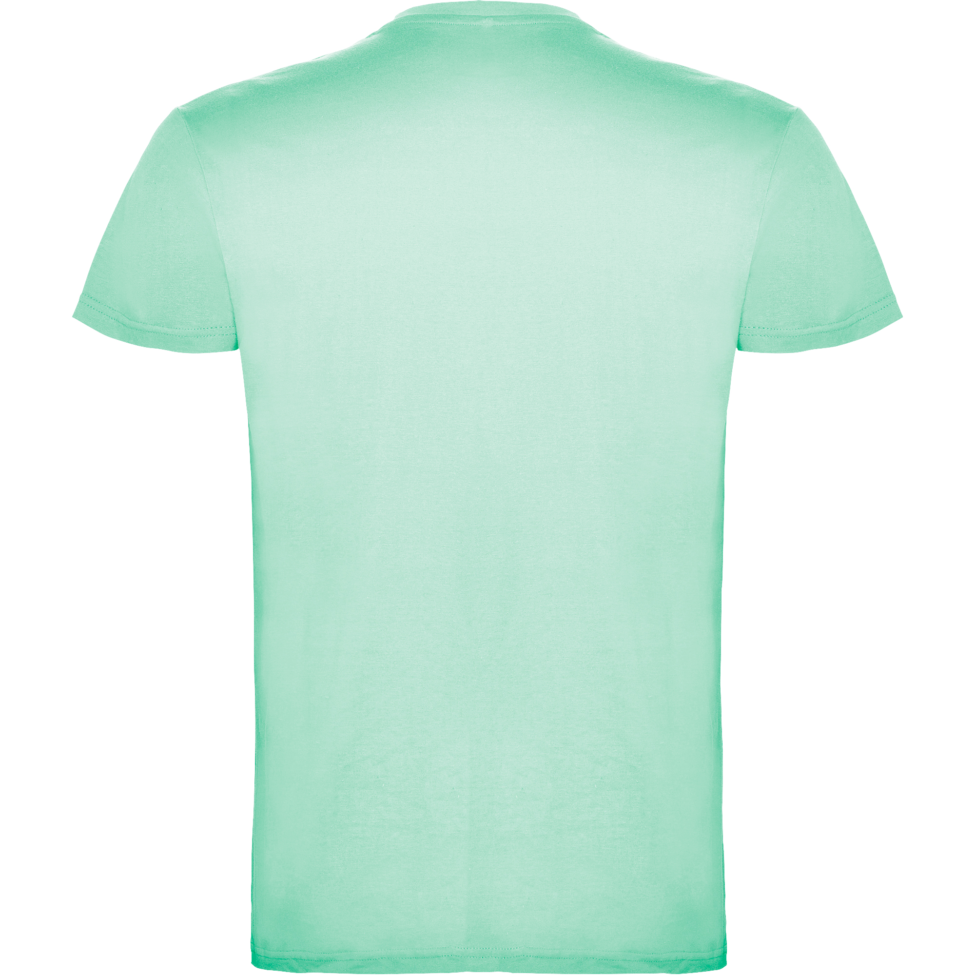 Футболка BEAGLE, МЯТНЫЙ ЗЕЛЕНЫЙ 2XL