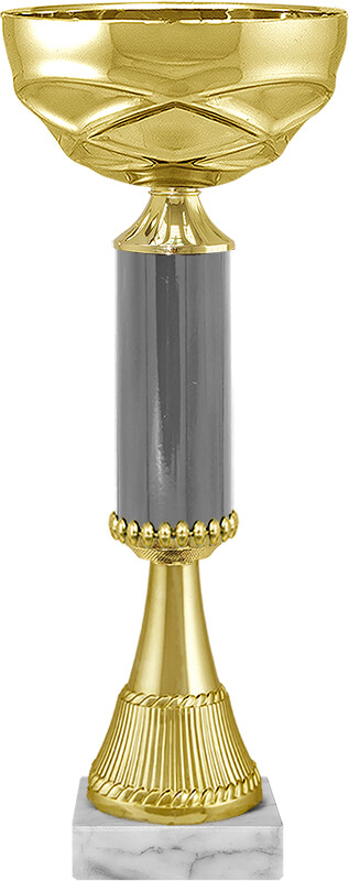 Кубок Айран