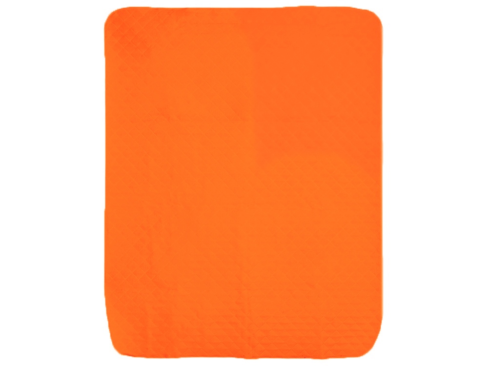 Плед для пикника Ridge, 115 х 140 см, оранжевый