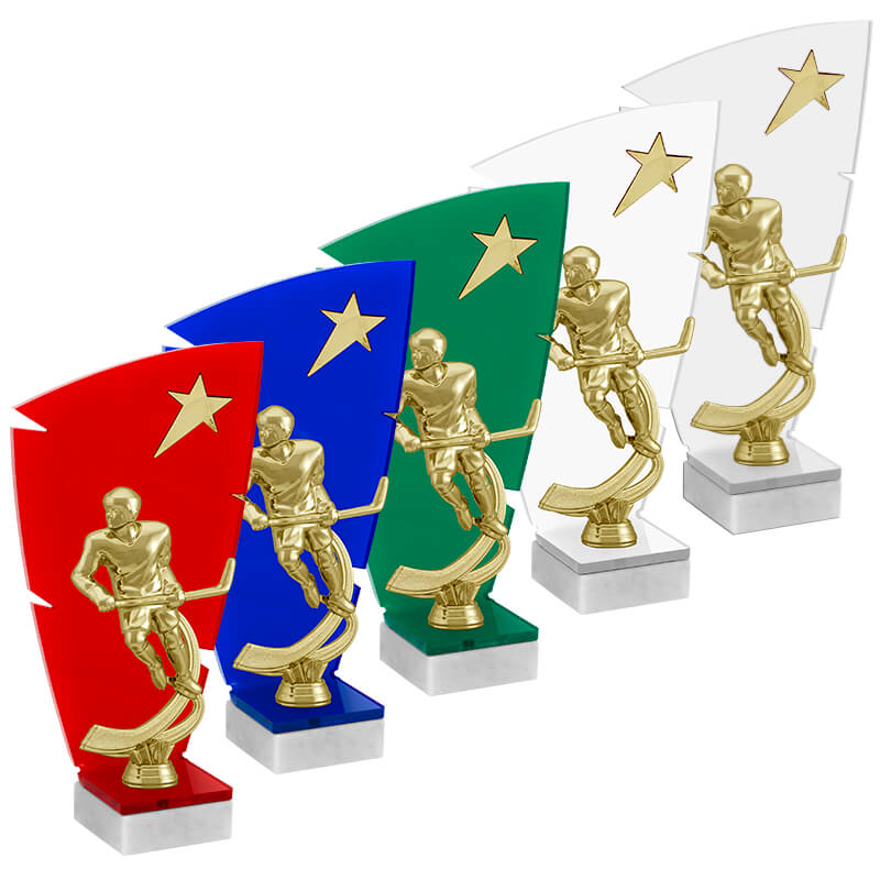 Акриловая награда Хоккей