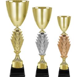 Кубок Чарити (под бронзу)