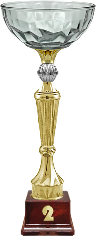 Кубок Нуар 2 место