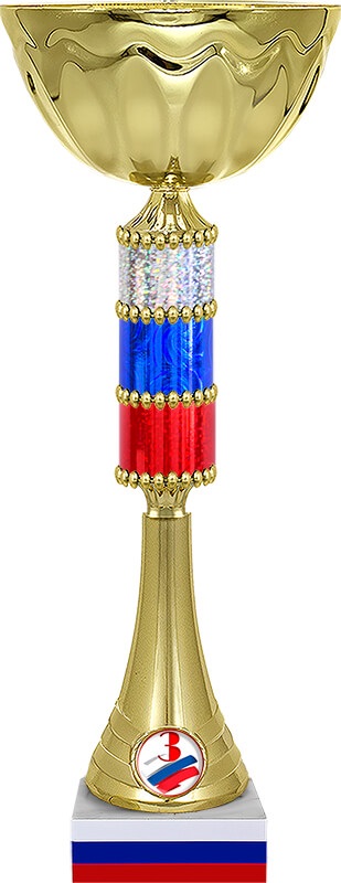 Кубок Капитон 3 место