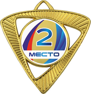 Медаль Шервинта 2 место