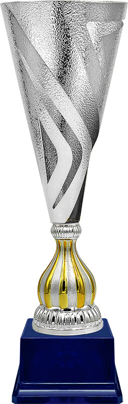 Кубок Ненси