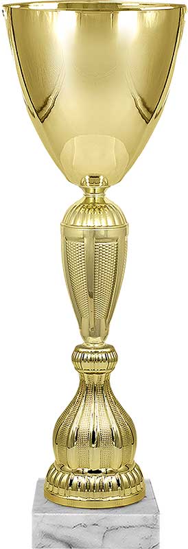 Кубок Эктор