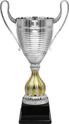 Кубок Рихард Кубок Рихард