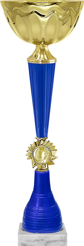 Кубок Фестиваль