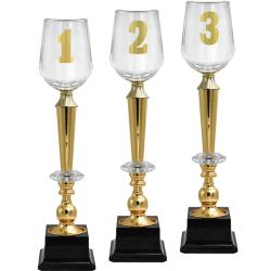 Кубок Агния 3 место