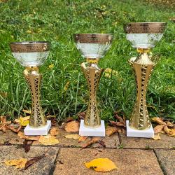 Кубок Нобель Кубок Нобель