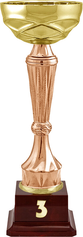 Кубок Спарт 3 место