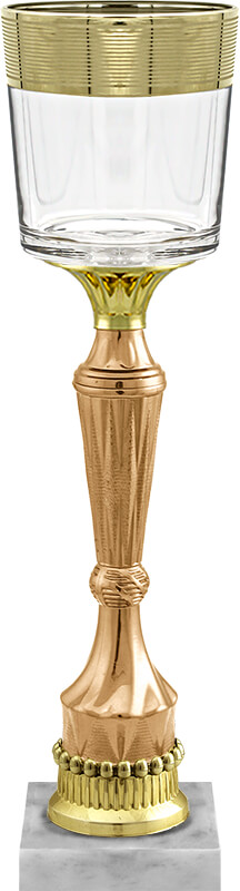 Кубок Педант (под бронзу)