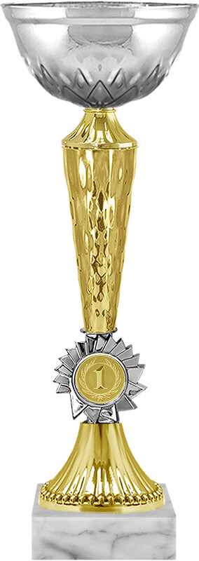 Кубок Гриф 1 место