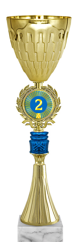 Кубок Радослав 2 место