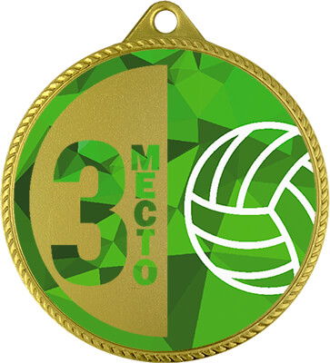 Медаль Волейбол 3 место