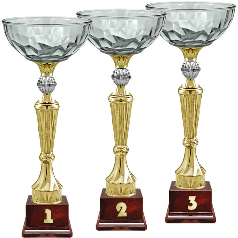 Кубок Нуар 2 место