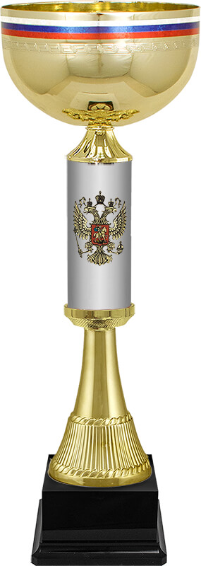 Кубок Артек