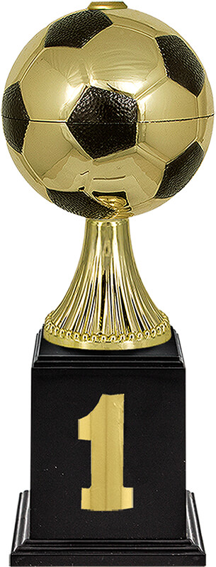 Кубок Мерхер 1 место