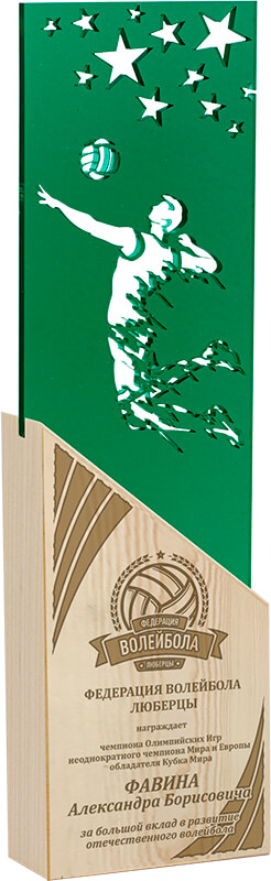 Акриловая награда с лазерной гравировкой волейбол