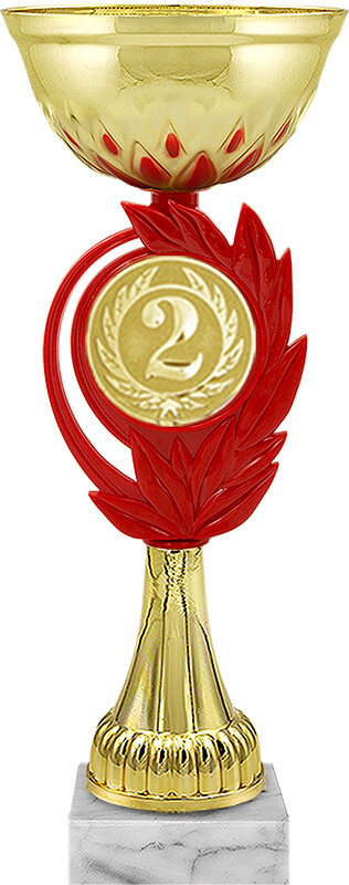 Кубок 2 место