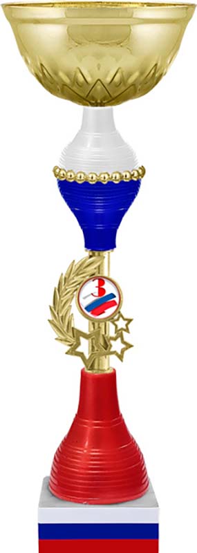 Кубок Нельсон 3 место