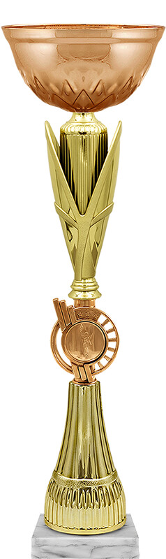 КубокТинара