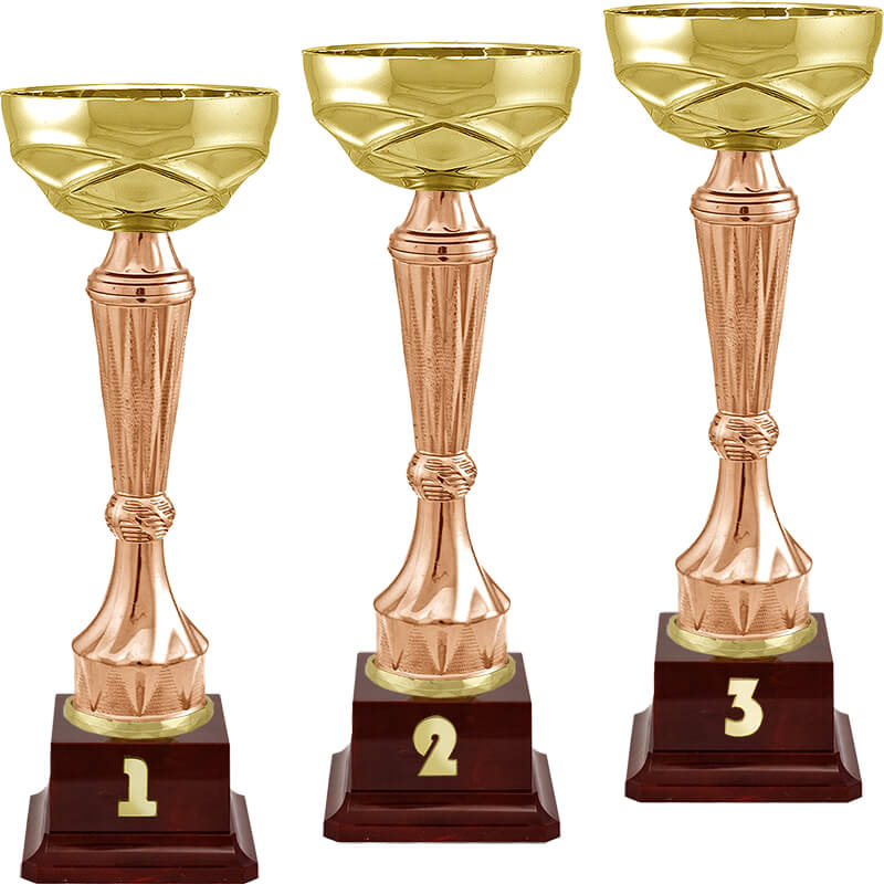 Кубок Спарт 2 место