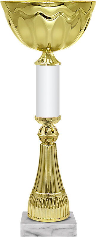 Кубок Барби