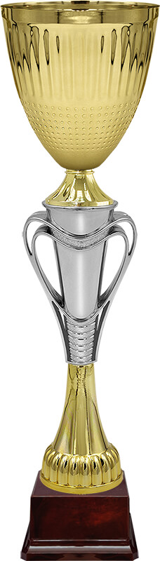 Кубок Тотти