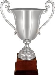 Кубок Копенгаген Кубок Копенгаген