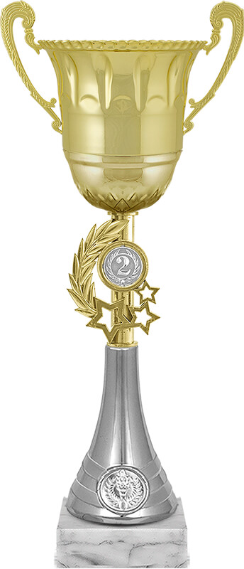 Кубок Ойла 2 место