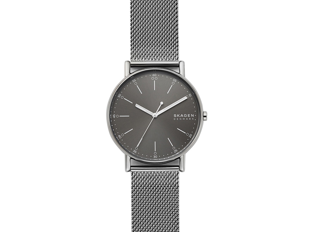 Часы наручные, мужские. Skagen
