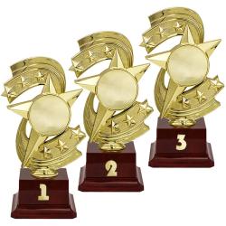 Награда 3 место