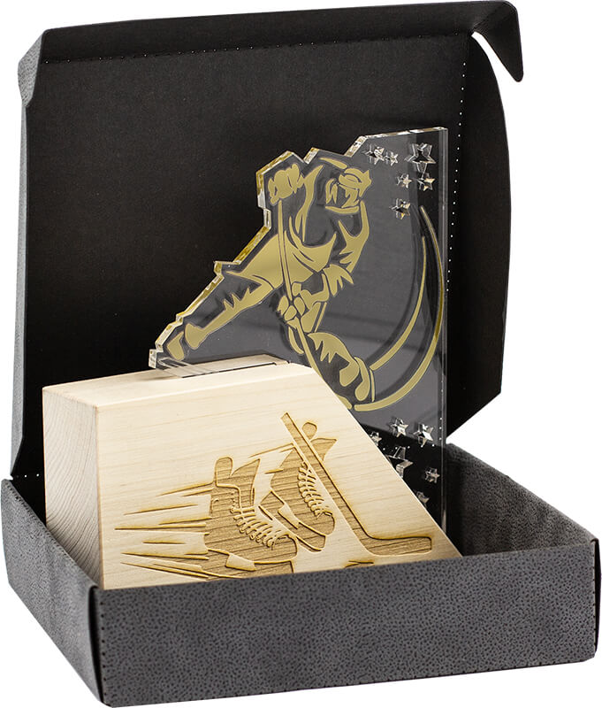 Акриловая награда Хоккей