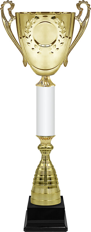 Кубок Радмир