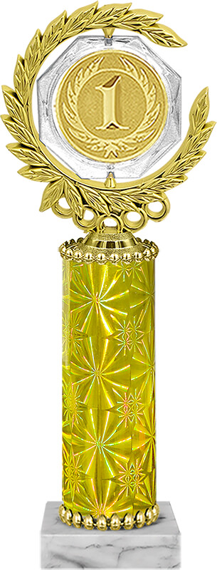 Награда 1 место