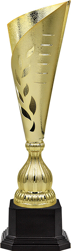 Кубок Хайли