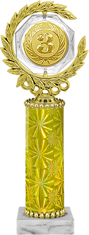 Награда 3 место