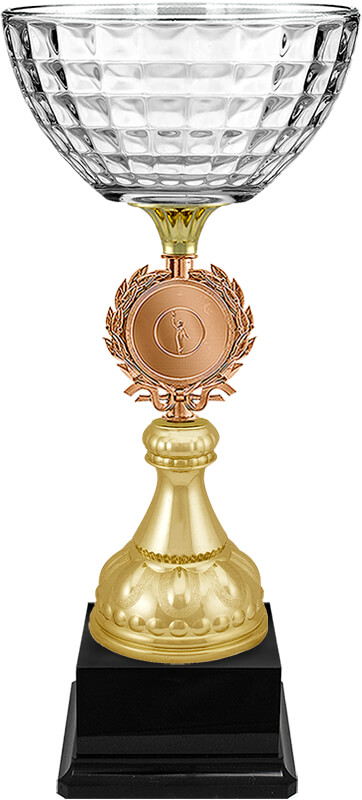 Кубок Магист (под бронзу)