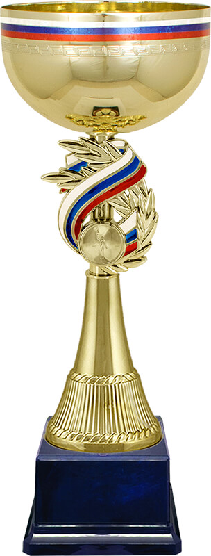 Кубок Демократ