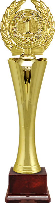 Награда 1 место