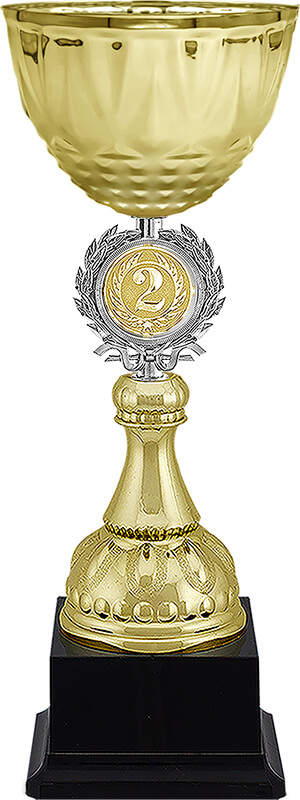 Кубок Чарлик 2 место