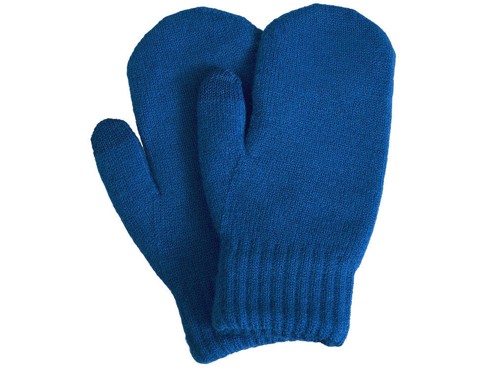 Варежки Dunant, классический синий
