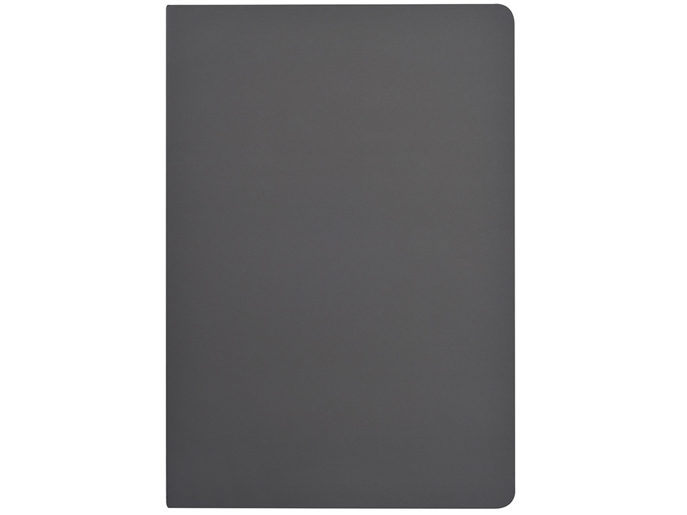 Бизнес-тетрадь А5 Pragmatic Contrast, 40 листов в клетку, серый с черным срезом